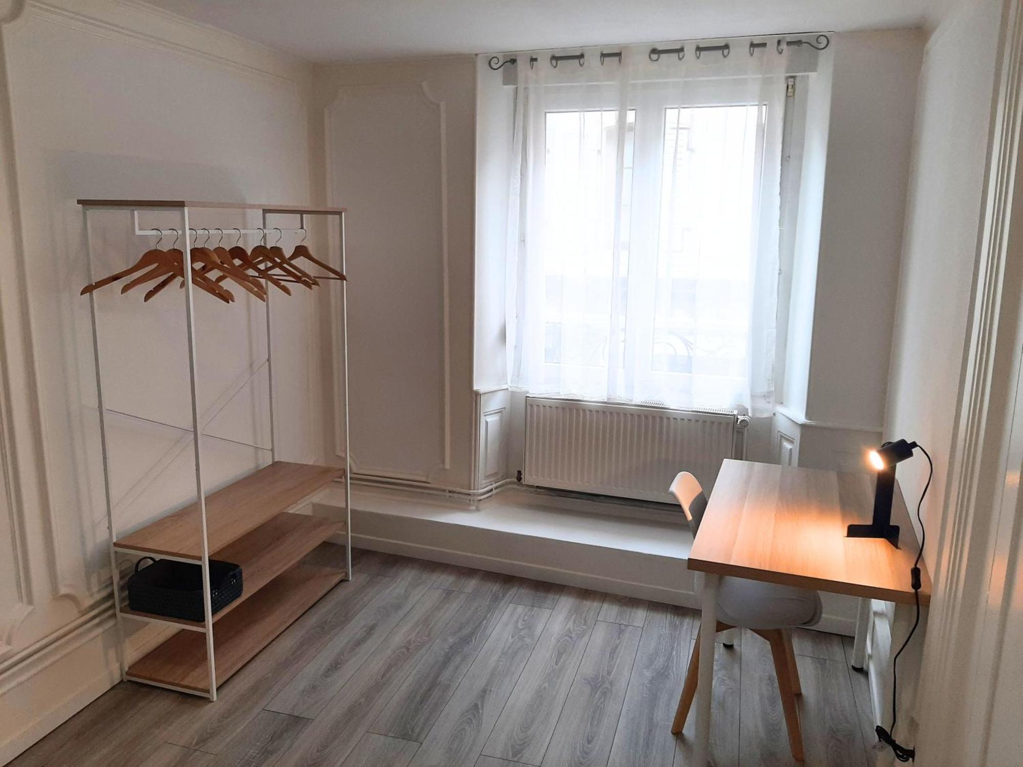 Charmant Et Spacieux Appartement Au Centre Ville - La Boheme Мюлуз Екстер'єр фото