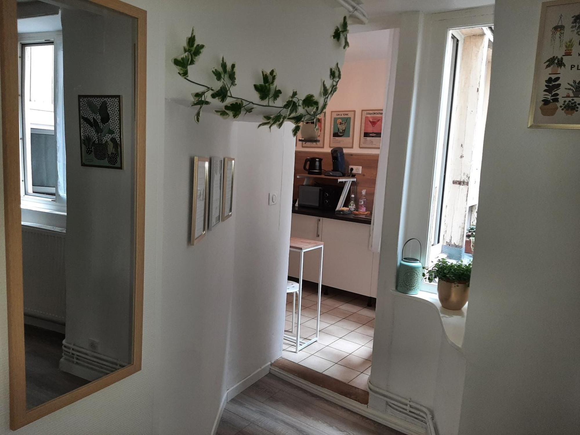 Charmant Et Spacieux Appartement Au Centre Ville - La Boheme Мюлуз Екстер'єр фото